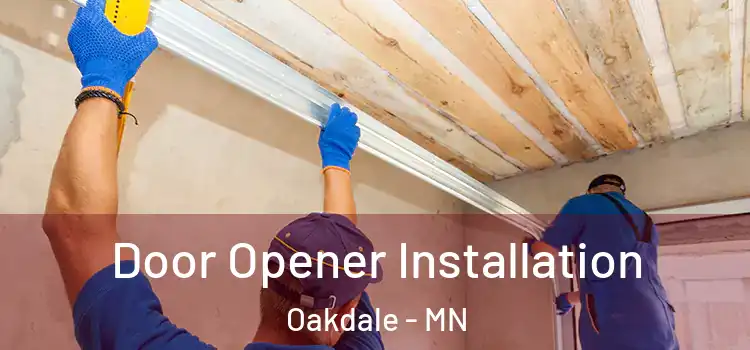 Door Opener Installation Oakdale - MN