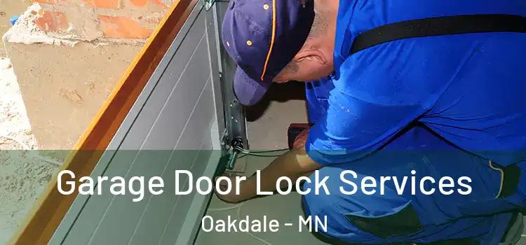 Garage Door Lock Services Oakdale - MN