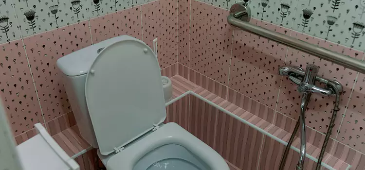 Meeting Diverse Needs With Accessible Restroom Solutions in Oakdale, MN