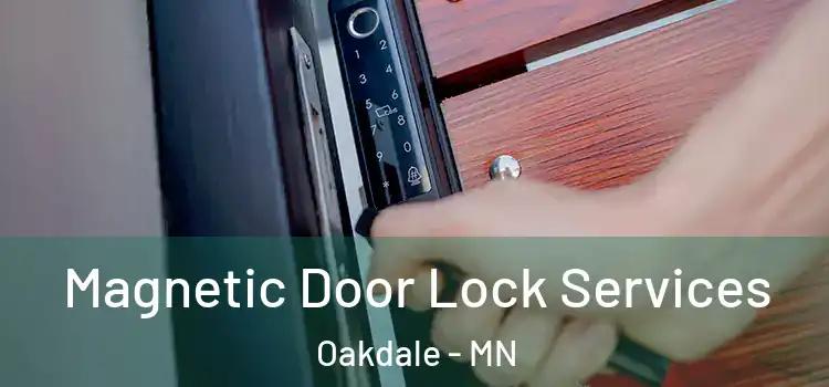 Magnetic Door Lock Services Oakdale - MN