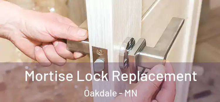 Mortise Lock Replacement Oakdale - MN