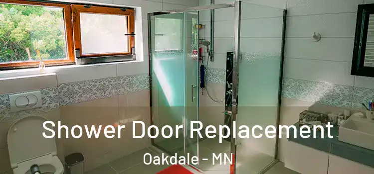 Shower Door Replacement Oakdale - MN